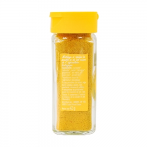 Curry BIO flacon 42g Bédros  CT 10 FLAC 42 GR